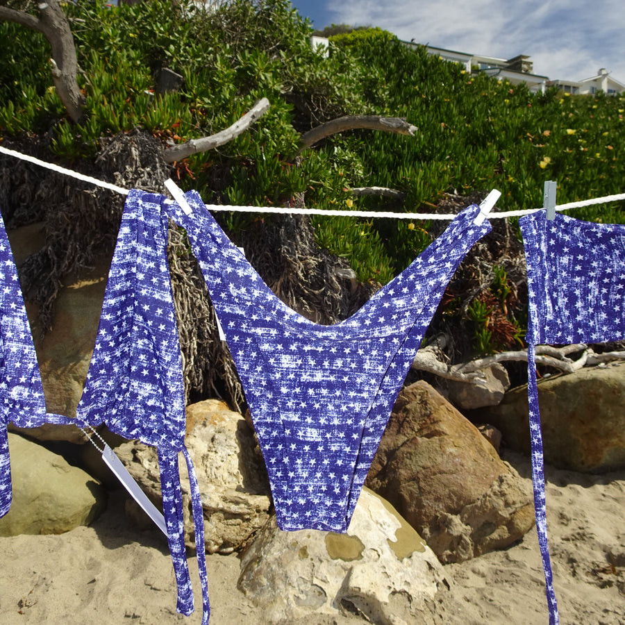 Roxy Cheeky Bottom in Denim Star